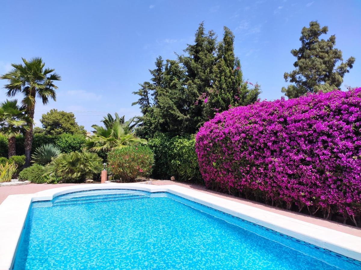 Villa With Private Pool, Bbq, Fitness Center & Sauna 산비센테델라스페그 외부 사진